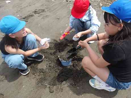 ４年富浦公園２